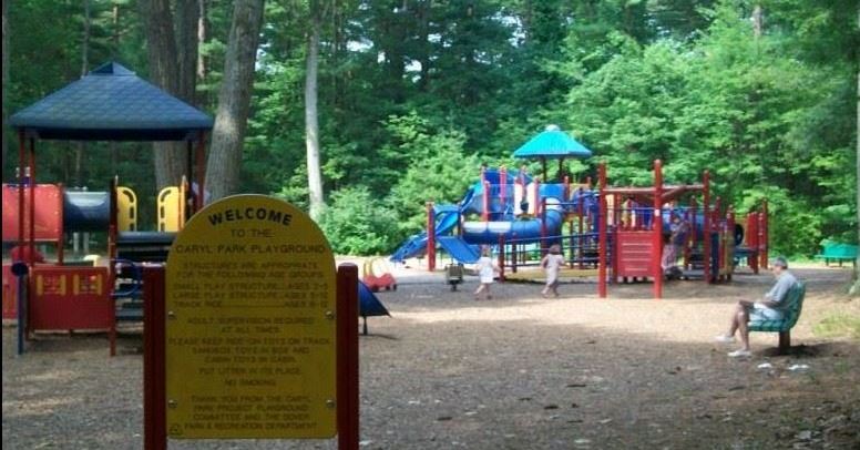 colorful playground structure surrounded by woodlands