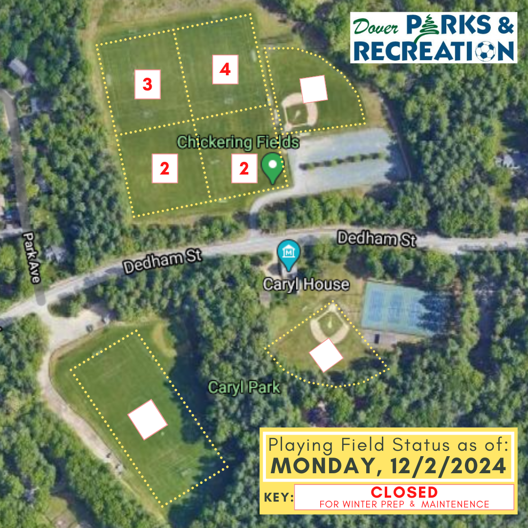 Satellite map image of seven athletic fields marked with white squares.